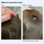 foer efter wound gel hund