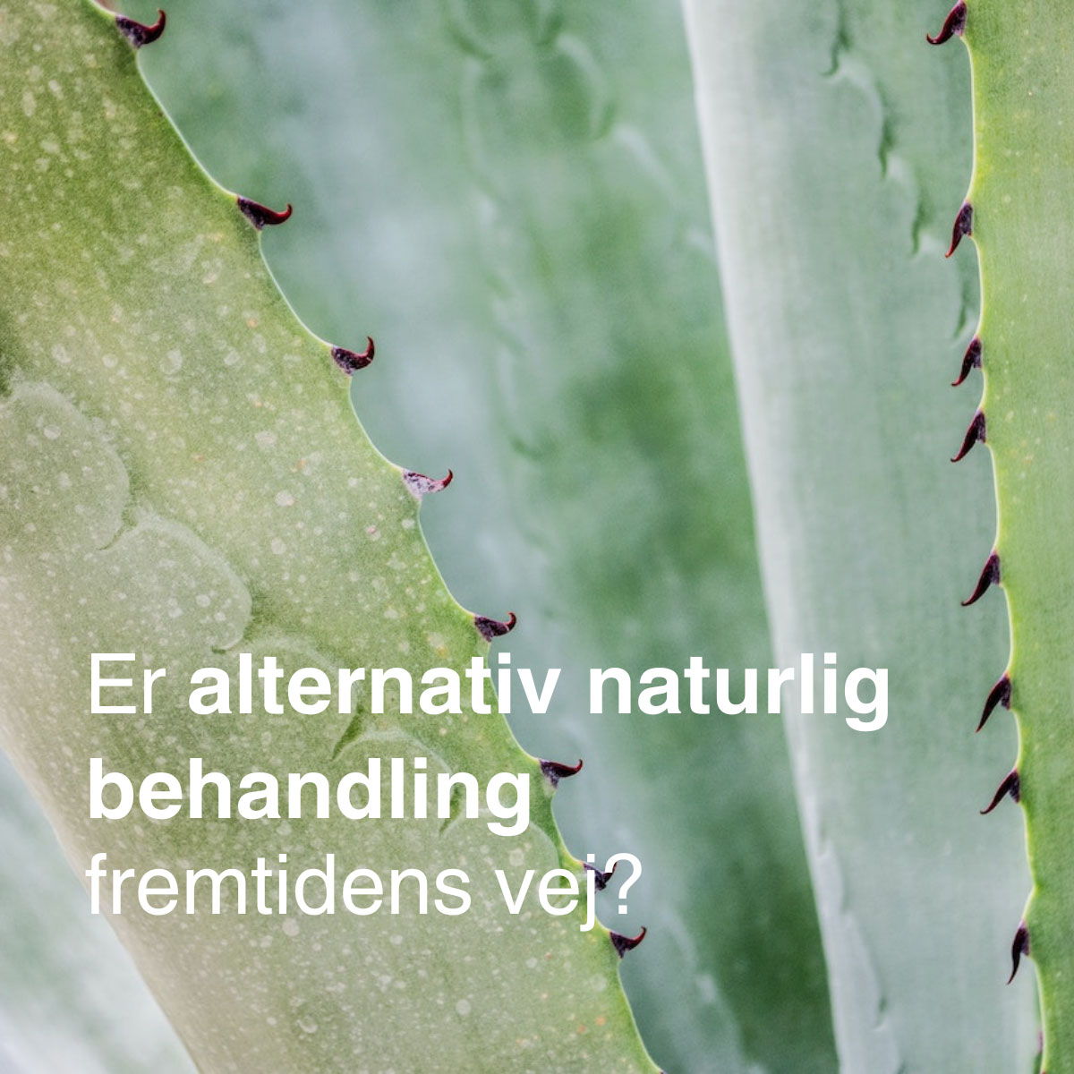 naturlig behandling