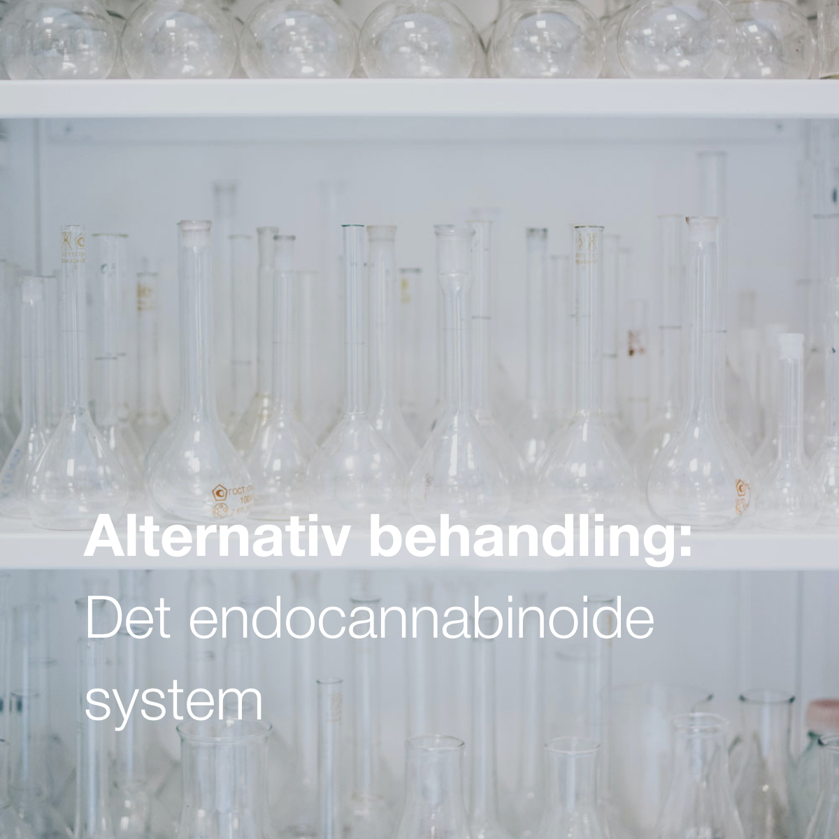 Det endocannabinoide system